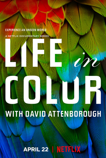 La Vie en couleurs avec David Attenborough Saison 1